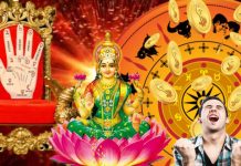 શુક્રના નક્ષત્રમાં પરિવર્તન આ 4 રાશિઓને આપશે રાજા જેવું જીવન, ઘર ધનથી ભરાઈ જશે.